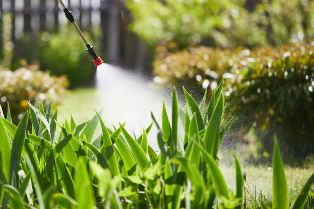 Tamper-Resistant Bait Stations for Rodents in Salmon Brook