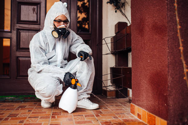 Attic and Crawl Space Rodent Treatment in Salmon Brook